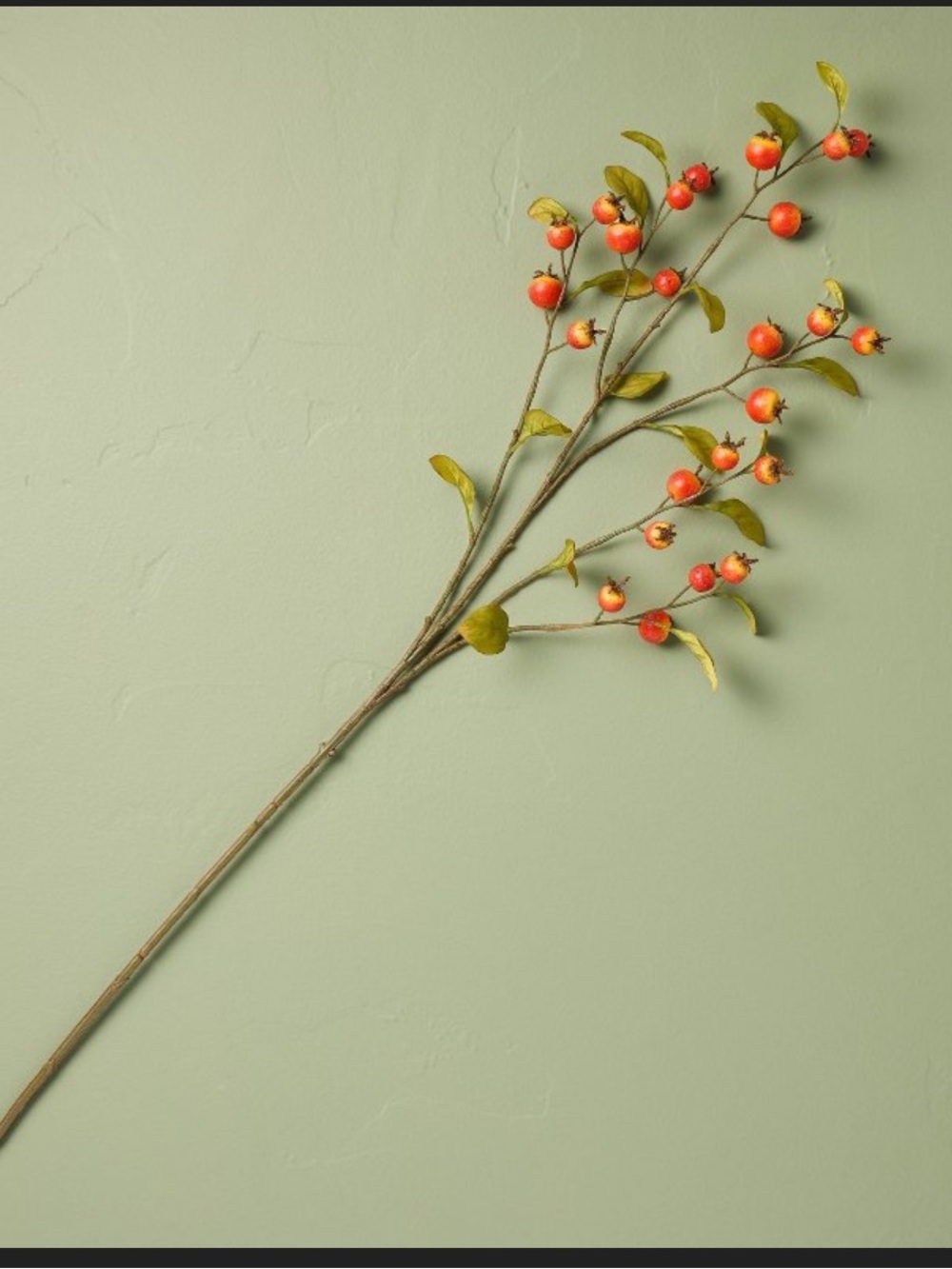 36" Crab Apple XL Stem - Hearth & Hand™ with Magnolia
